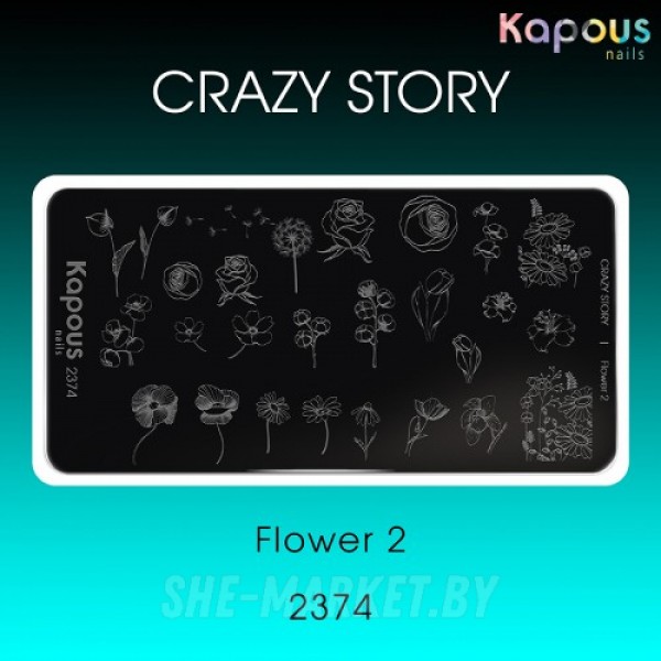 Пластина для стемпинга Crazy story, Flower 2