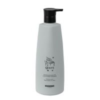Шампунь против выпадения волос GINGER ANTI-HAIR LOSS & OIL CONTROL SHAMPOO, 750мл Шампунь против выпадения волос GINGER ANTI-HAIR LOSS & OIL CONTROL SHAMPOO, 750мл