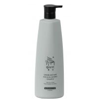 Шампунь против выпадения волос GINGER ANTI-HAIR LOSS & OIL CONTROL SHAMPOO, 300мл