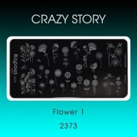 Пластина для стемпинга Crazy story, Botanics 2 Пластина для стемпинга Crazy story, Botanics 2